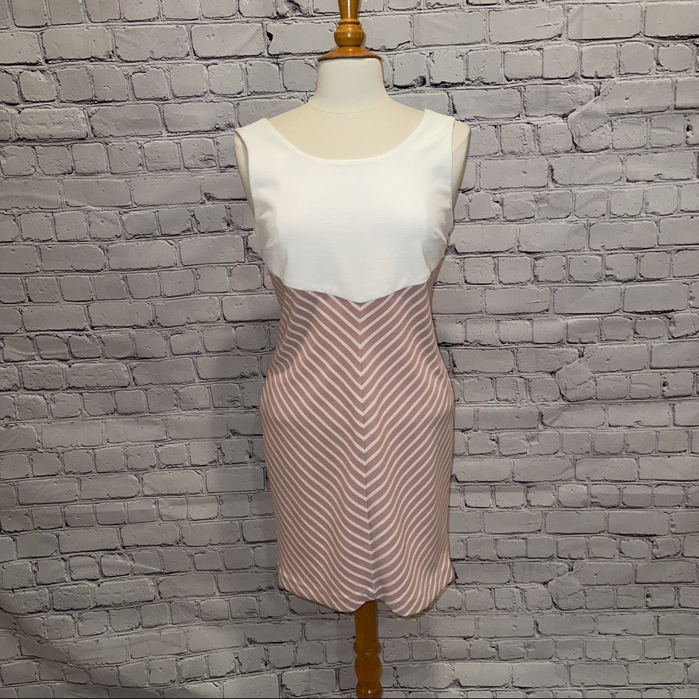 C. Luce Business Dress